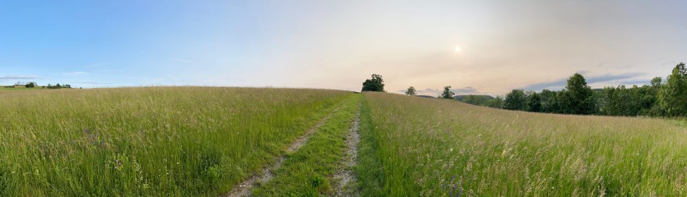 see                             lead                                  change