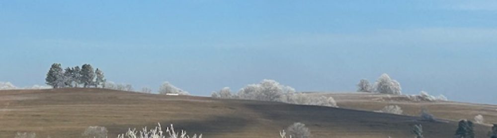 see                             lead                                  change